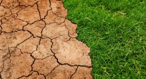 Aumenta la sequía en varias zonas de la Isla