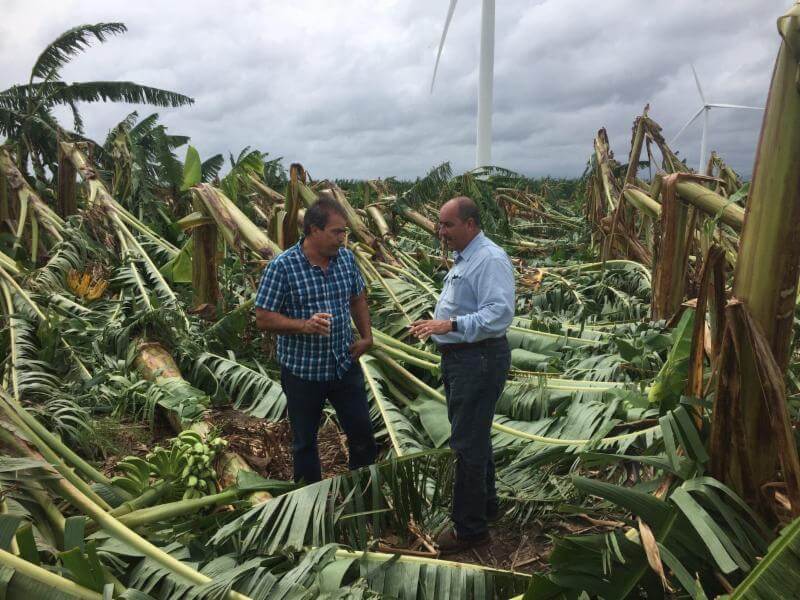 Agricultura anuncia periodo de venta de seguros agrícolas