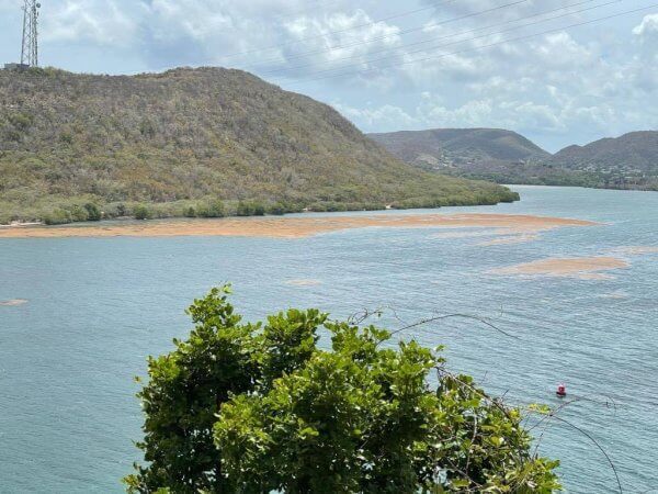 Bosque Seco de Guánica estará abierto una hora adicional