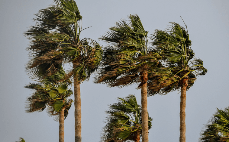 Emiten alerta de vientos de hasta 60MPH y posibilidad de granizo