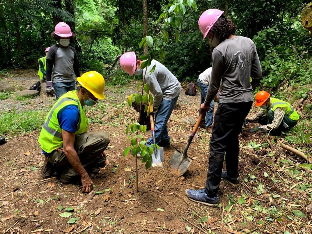 El Yunque celebrará el Día Nacional de las Tierras Públicas