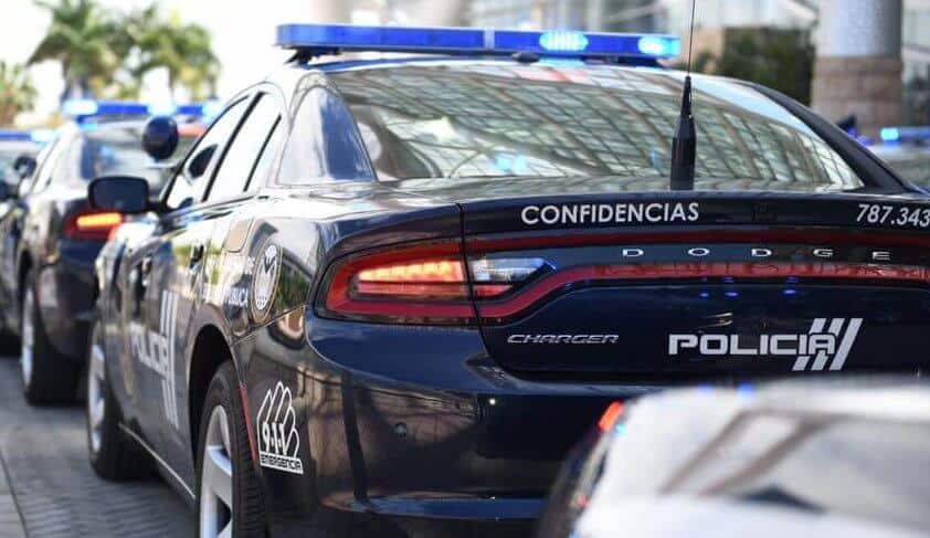 Se roban dos cotorras en Salinas