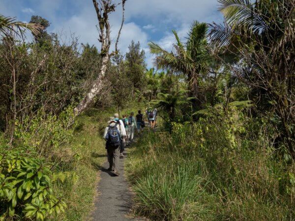 Hombre herido tras caer desde cascada en El Yunque